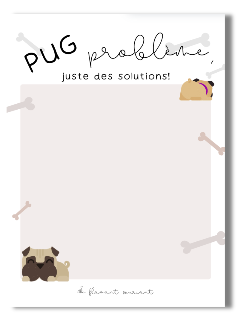 Petit Bloc-notes (pug problème)