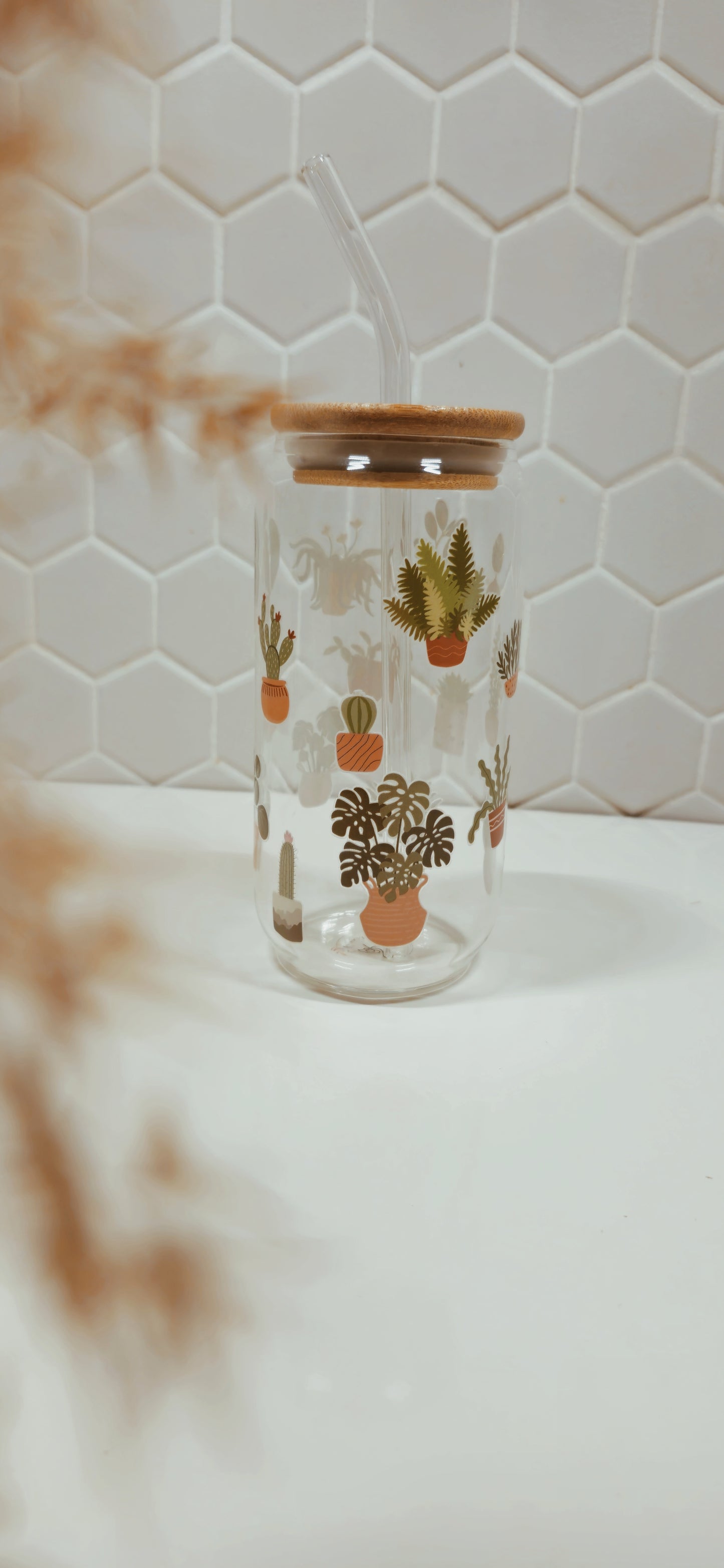 Cactus plantes