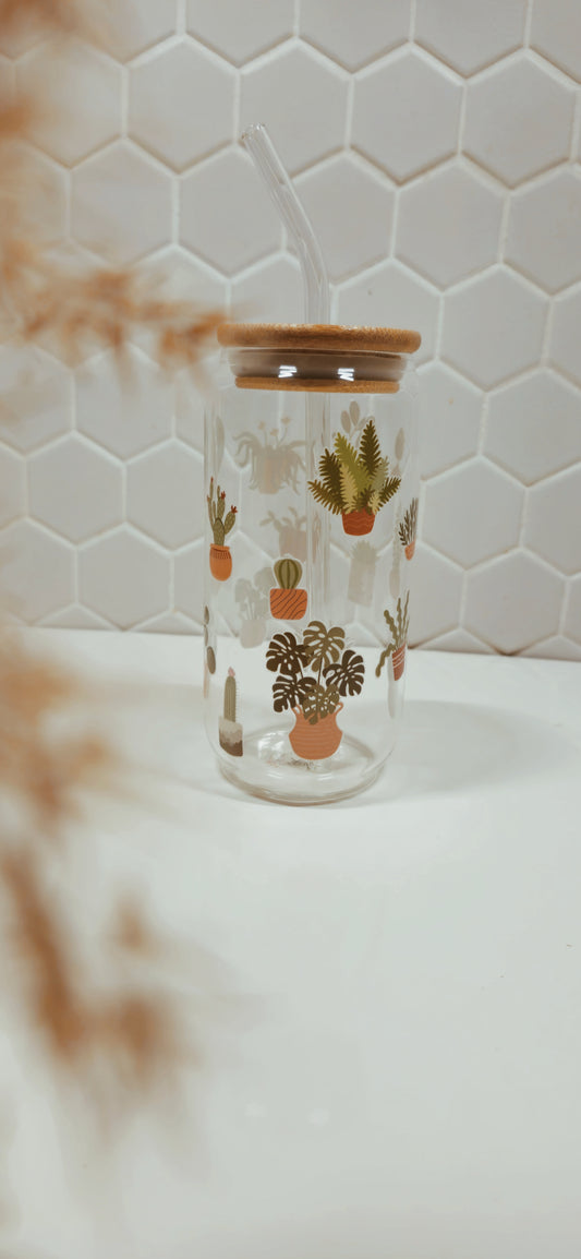 Cactus plantes